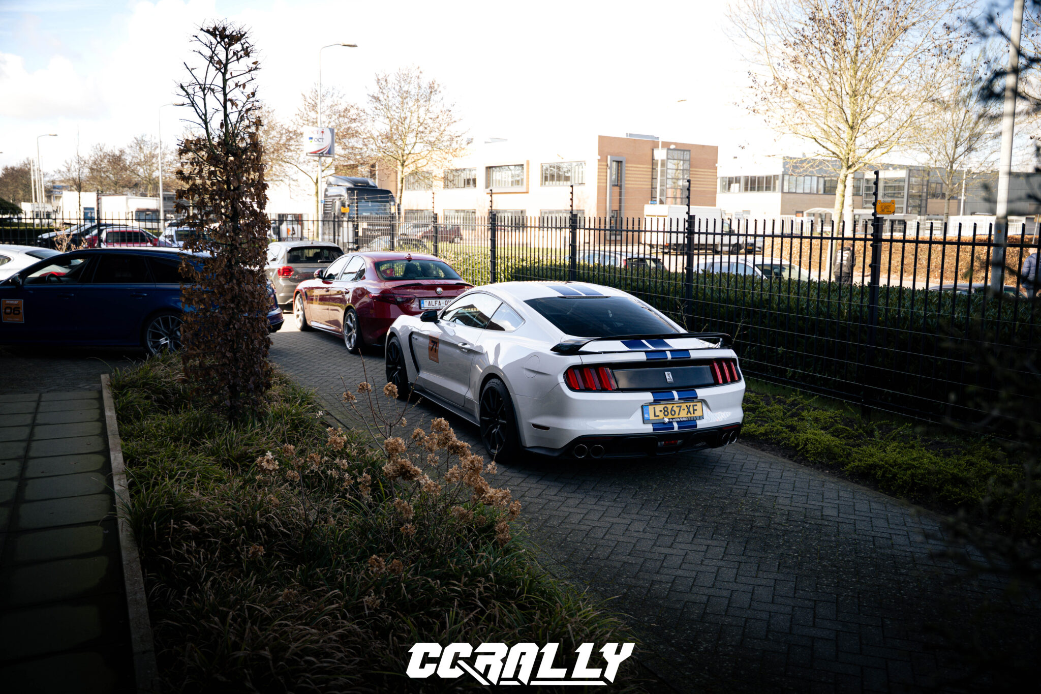 DSC04204-watermarked