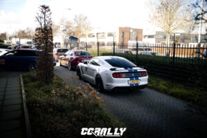 DSC04204-watermarked
